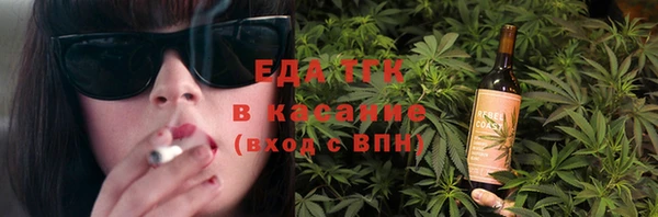 эйфоретик Няндома