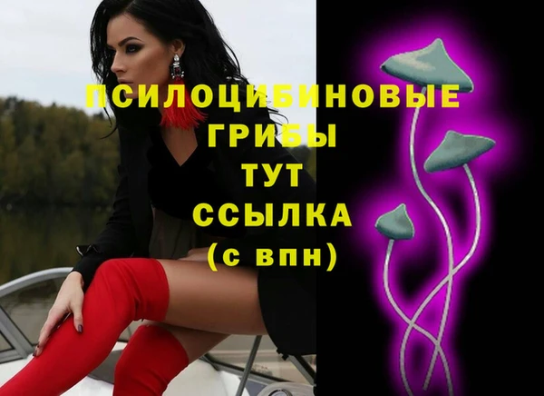 ECSTASY Нязепетровск