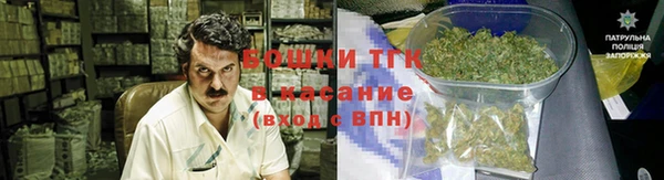 эйфоретик Няндома
