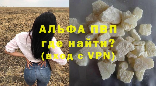 эйфоретик Няндома