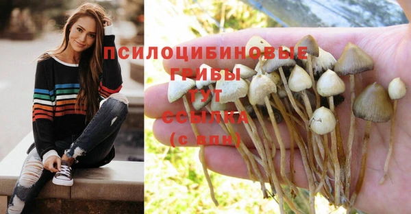эйфоретик Няндома