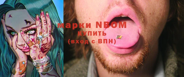эйфоретик Няндома