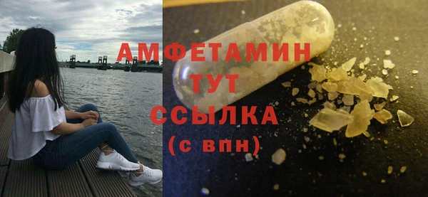 эйфоретик Няндома