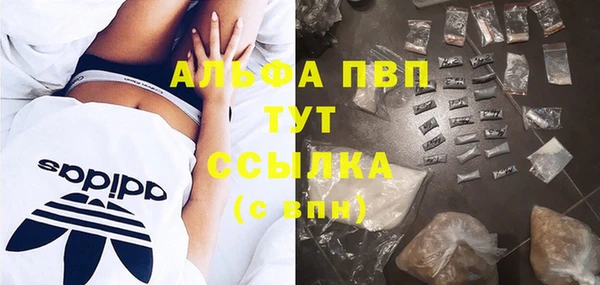 эйфоретик Няндома