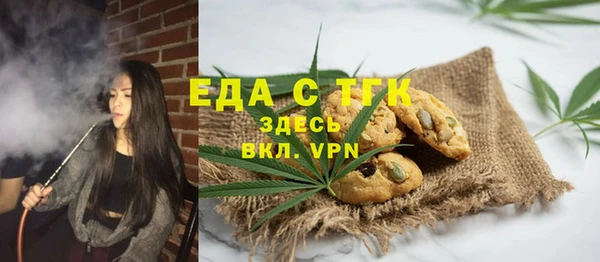 эйфоретик Няндома