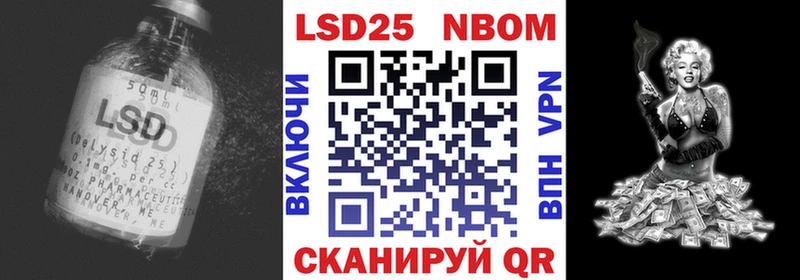 blacksprut как войти  Славгород  Лсд 25 экстази кислота 