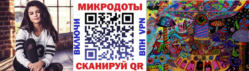 Галлюциногенные грибы Cubensis  Славгород 